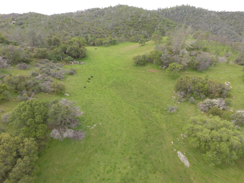 Highway 49 & Road, Ahwahnee, CA for sale - Primary Photo - Image 1 of 1