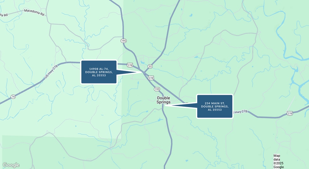 234 Main St, Double Springs, AL for sale - Building Photo - Image 3 of 3