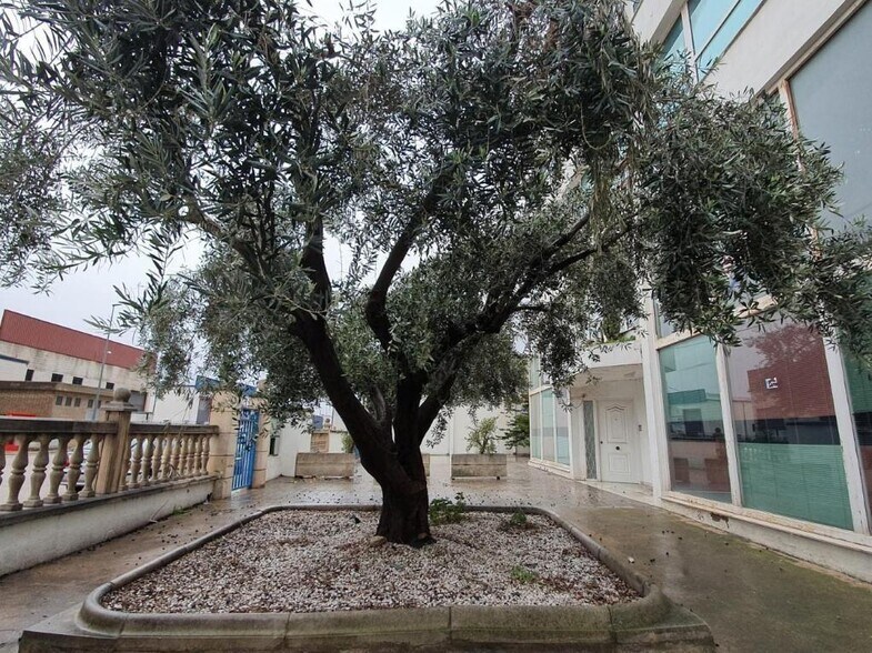 Carrer dels Moliners, Alzira, Valencia à vendre - Photo du bâtiment - Image 3 de 15