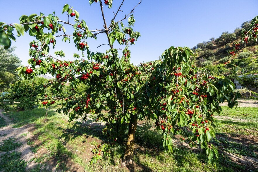Paseo la Duquesa, S/N, Pinos Genil, Granada for sale - Primary Photo - Image 1 of 41