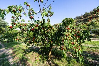 More details for Paseo la Duquesa, S/N, Pinos Genil - Land for Sale