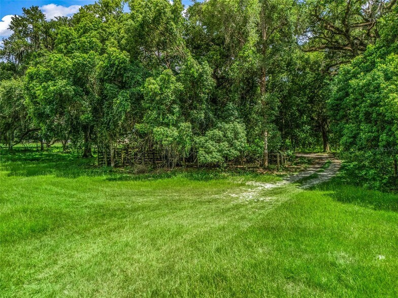 CR 738, Webster, FL à vendre - Autre - Image 3 de 15