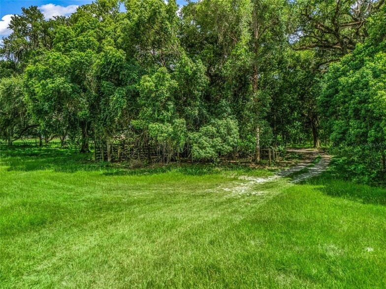 CR 738, Webster, FL for sale - Other - Image 3 of 15