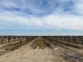 Plus de détails pour 1 S Plumas Ave, Kerman, CA - Terrain à vendre