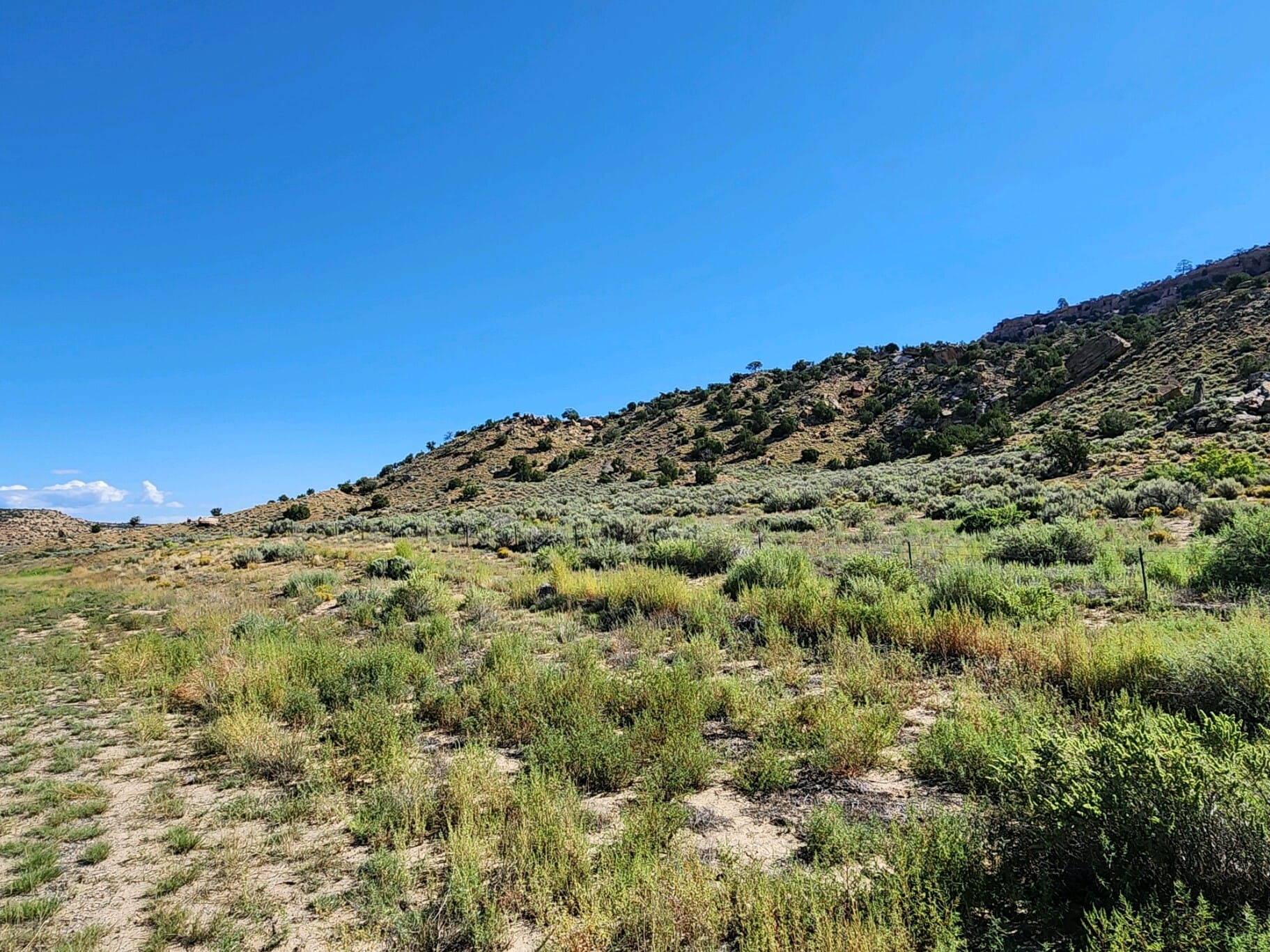 60 ac on Lupton Road, Mentmore, NM à vendre Autre- Image 1 de 7