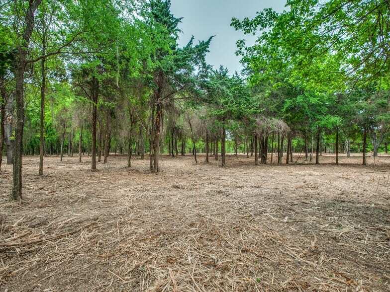 9500 FM 455, Pilot Point, TX à vendre - Photo du bâtiment - Image 2 de 14