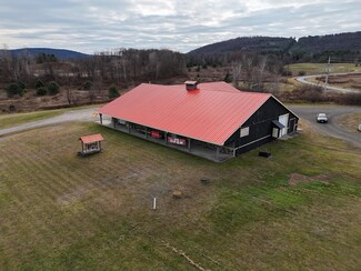 Plus de détails pour 3941 NY-28, Milford, NY - Industriel à vendre