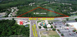 Plus de détails pour 12853 State Road 52, Hudson, FL - Terrain à vendre