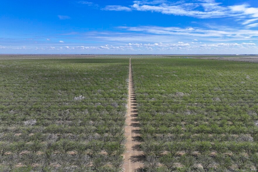 Cerini Avenue, Cantua Creek, CA for sale - Building Photo - Image 2 of 12