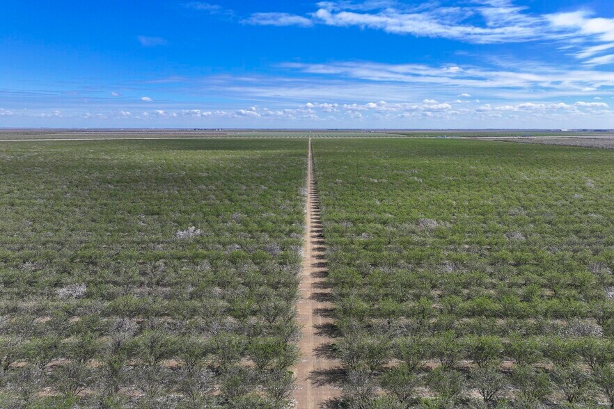 Cerini Avenue, Cantua Creek, CA à vendre - Photo du bâtiment - Image 2 de 12