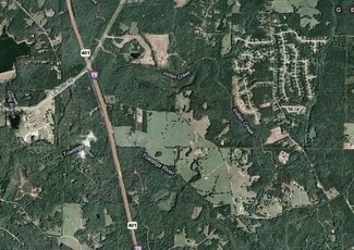 More details for 721 Hosannah Rd, Locust Grove, GA - Land for Sale