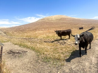 More details for 320.00 +/- Acres of Grazing Land, Mc Farland, CA - Land for Sale