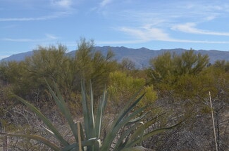 Plus de détails pour 10325 E 22nd St, Tucson, AZ - Terrain à vendre