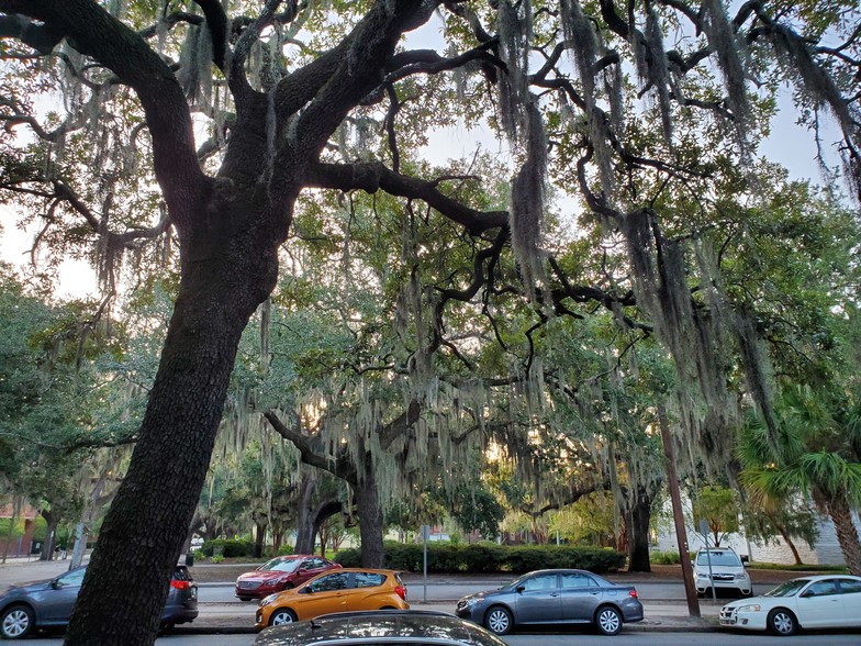 1915 Bull St, Savannah, GA à louer - Photo du b timent - Image 3 de 6