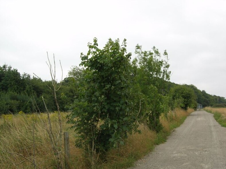 1 Bayleys Hatch, Great Missenden à vendre - Autre - Image 2 de 3