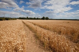 More details for Stubbings Farm Burchetts Green, Maidenhead - Land for Sale