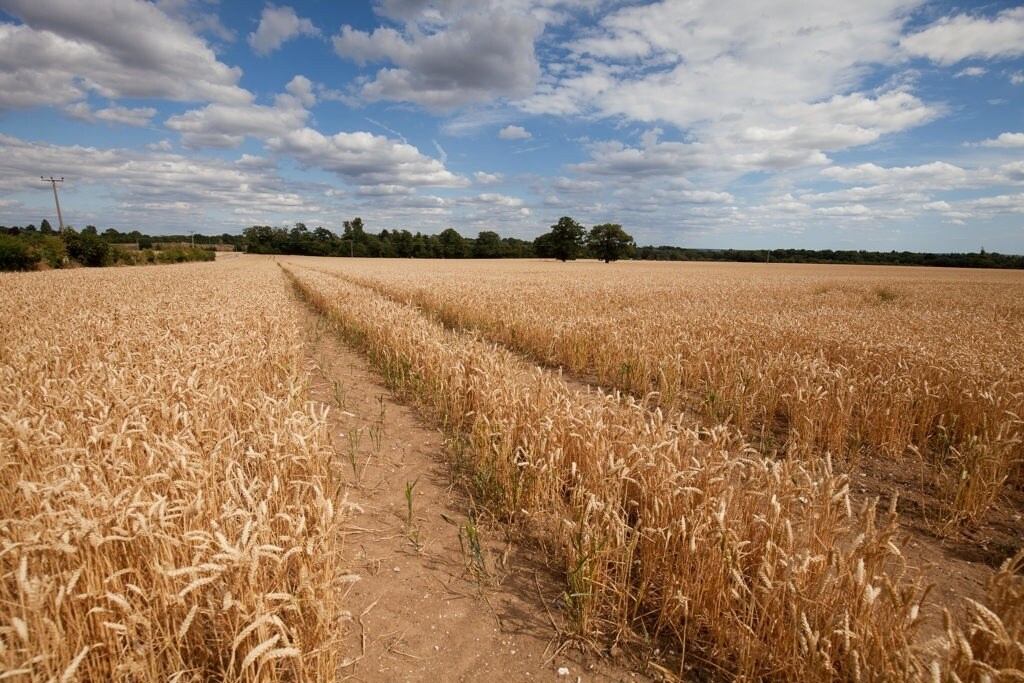 Stubbings Farm Burchetts Green, Maidenhead à vendre Photo principale- Image 1 de 14