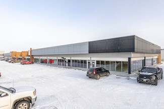 More details for 10605-10633 172nd St NW, Edmonton, AB - Flex for Lease