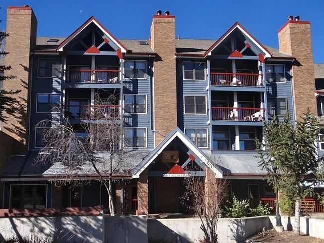 Plus de détails pour 100 S Park Ave, Breckenridge, CO - Commerce de détail à louer