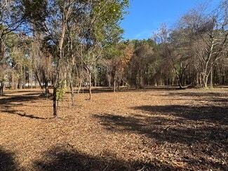 More details for 1183 NC-177, Hamlet, NC - Land for Sale