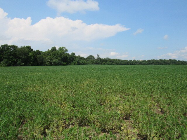 County Rt 19, Livingston, NY à vendre - Autre - Image 3 de 12