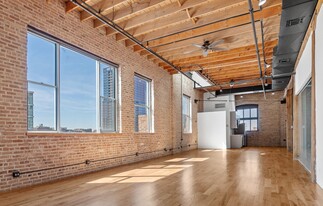 210 N Racine Ave, Chicago IL - Loft