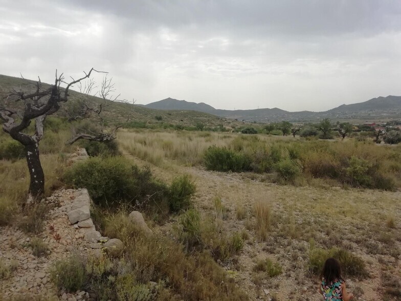 Terrain dans Hondón de los Frailes, Alicante à vendre - Aérien - Image 1 de 5