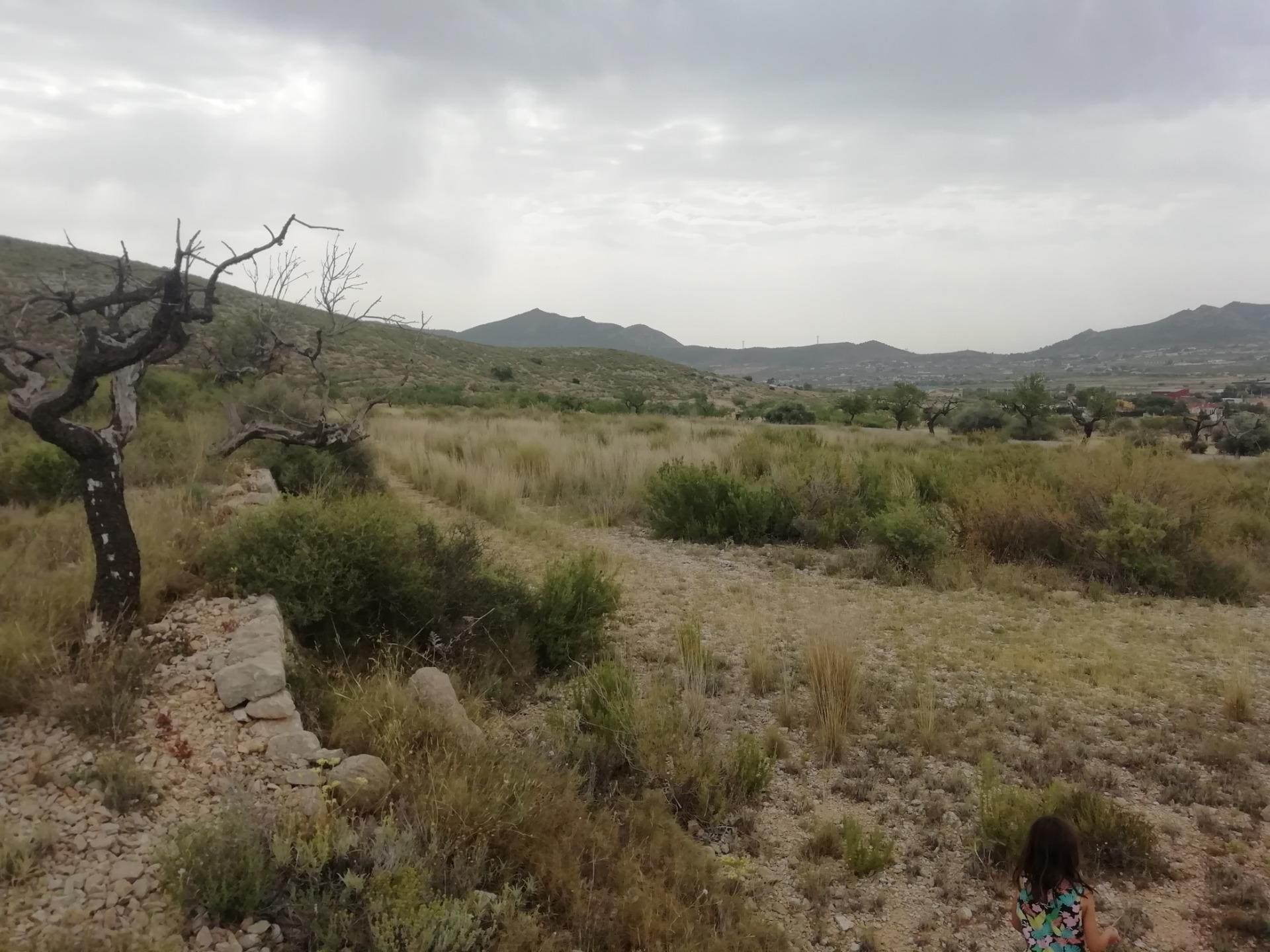 Terrain dans Hondón de los Frailes, Alicante à vendre Aérien- Image 1 de 6