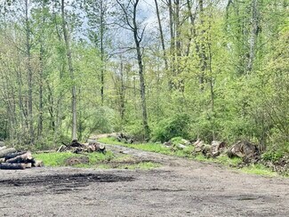 More details for 1134 E Turkeyfoot Lake Rd, Akron, OH - Land for Sale