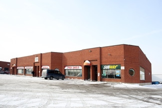 Plus de détails pour 2084 Steeles Ave E, Brampton, ON - Industriel à louer