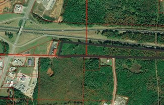 Plus de détails pour 0 Speedway Industrial Blvd, Lincoln, AL - Terrain à vendre