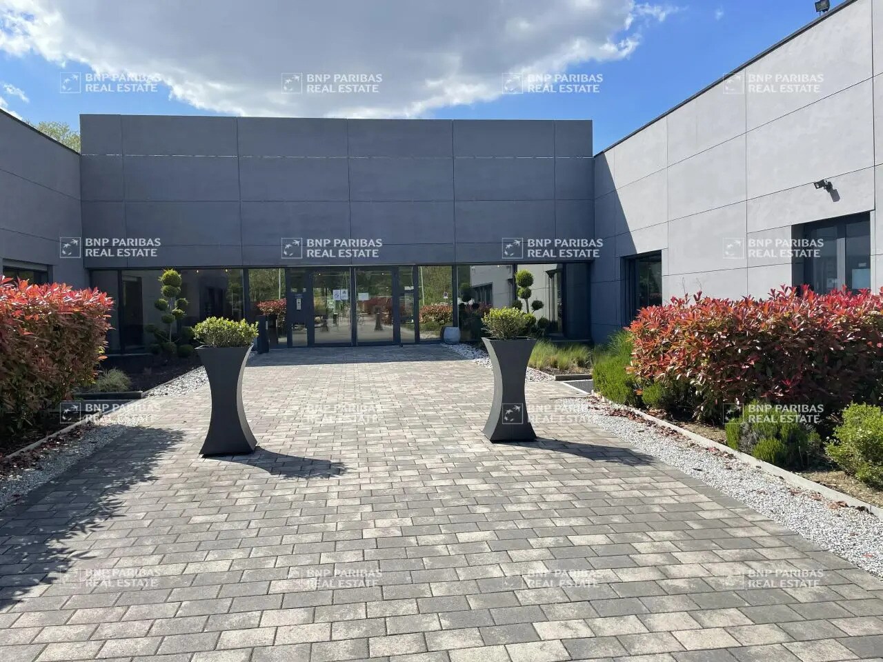 6 Rue Eugénie Brazier, Illkirch-Graffenstaden for lease Building Photo- Image 1 of 30