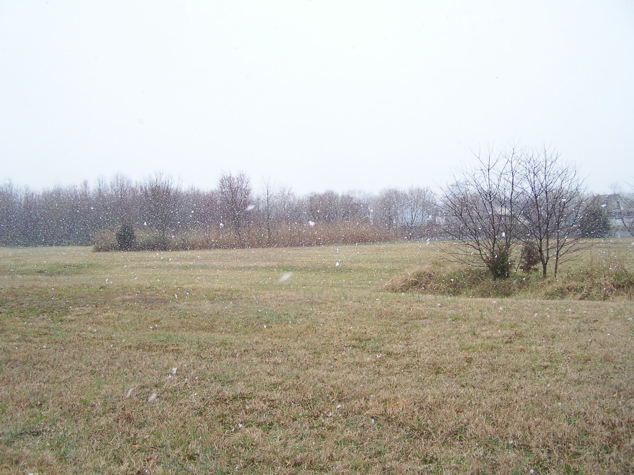 12500 Sussex Hwy, Greenwood, DE à vendre Photo principale- Image 1 de 13