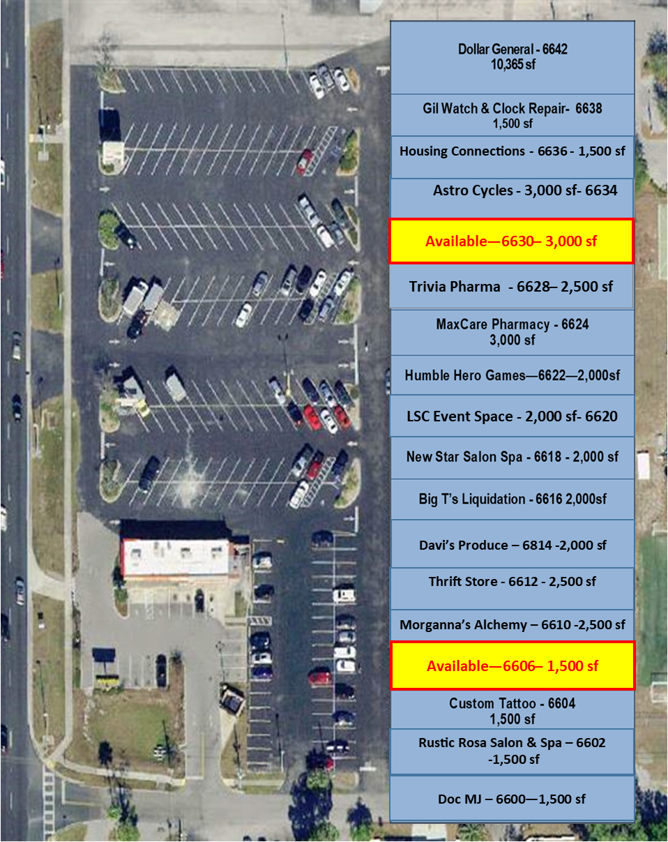 6604 US Highway 19 N, New Port Richey, FL à louer Plan de site- Image 1 de 3