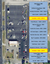 6604 US Highway 19 N, New Port Richey, FL à louer Plan de site- Image 1 de 3