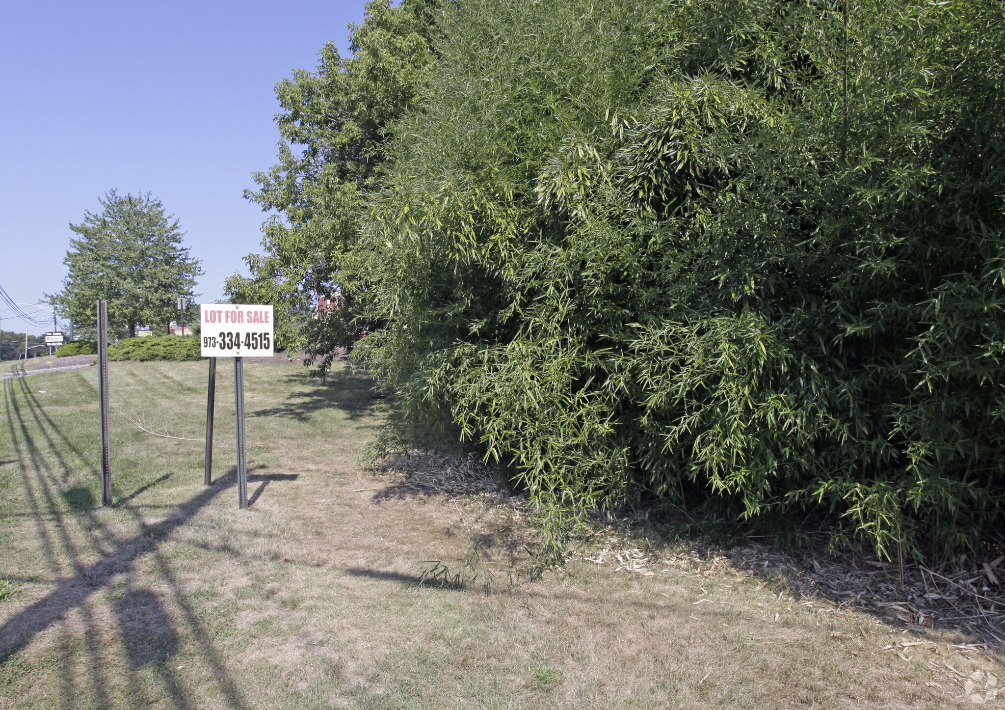 20 Sandra Dr, Parsippany, NJ for sale Primary Photo- Image 1 of 7