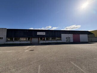 Plus de détails pour Flex à vendre