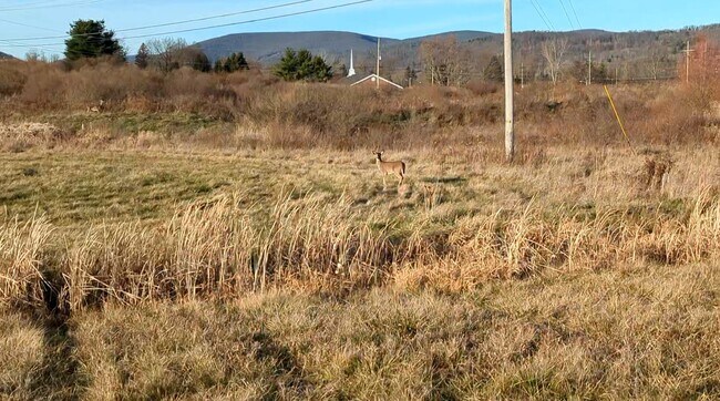 Plus de détails pour 54 Nadalini Dr, Mansfield, PA - Terrain à vendre