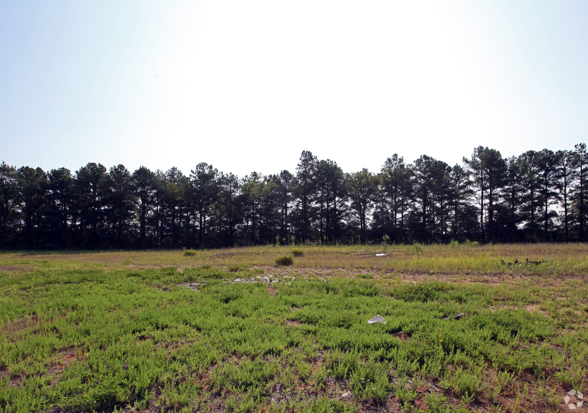 Nolan Cv, Jackson, TN for sale Primary Photo- Image 1 of 3