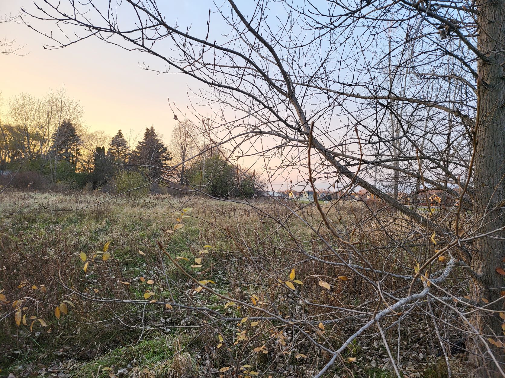 TBD East Broomfield Road, Mount Pleasant, MI à vendre Autre- Image 1 de 5