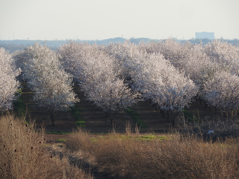 Riosa Rd, Sheridan, CA for sale - Primary Photo - Image 1 of 1