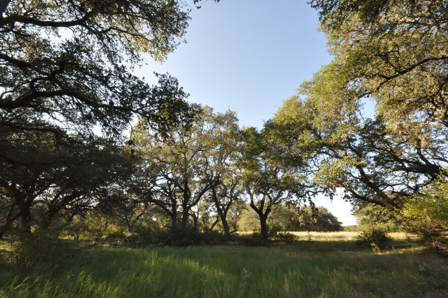 100 Farm To Market 165, Dripping Springs, TX for sale - Building Photo - Image 3 of 8