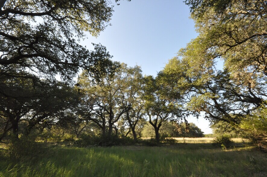 100 Farm To Market 165, Dripping Springs, TX à vendre - Photo du bâtiment - Image 3 de 8