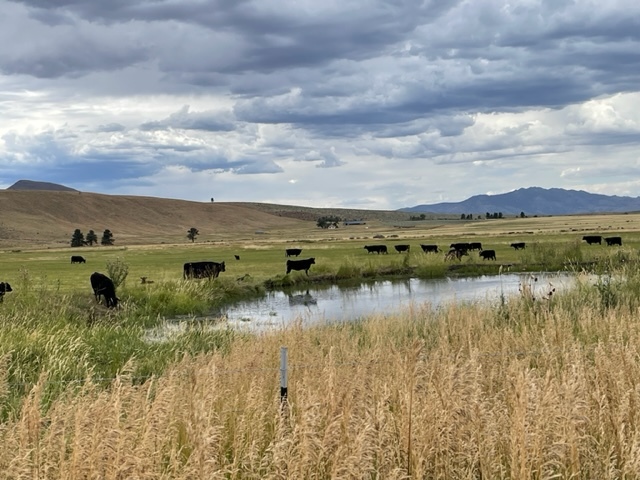 400 Green Gulch Rd, Chilcoot, CA for sale - Primary Photo - Image 1 of 46