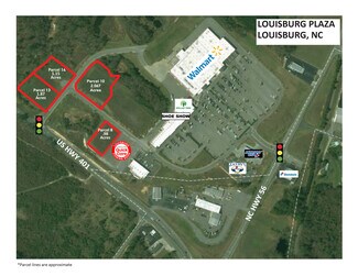 Plus de détails pour 505 Retail Way, Louisburg, NC - Terrain à vendre