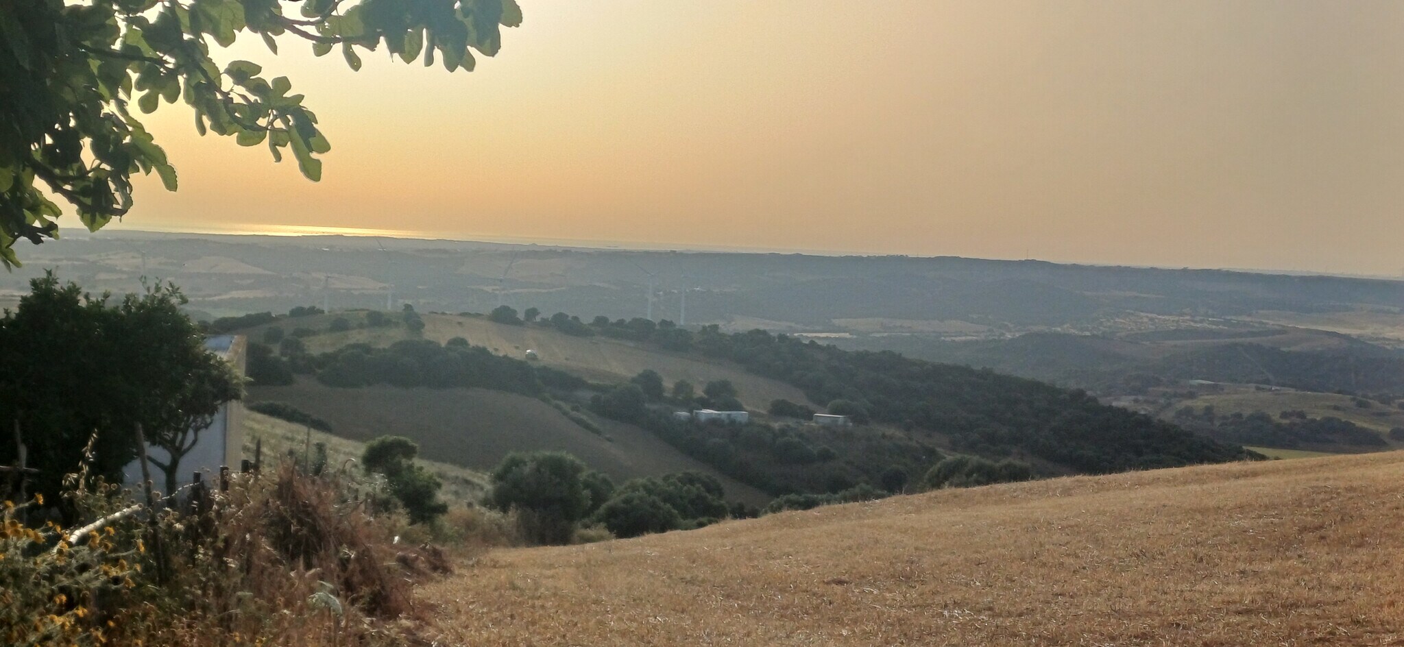 Land in Vejer de la Frontera, Cádiz for sale Primary Photo- Image 1 of 10
