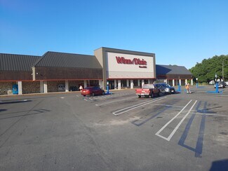 Plus de détails pour 15912-15956 E Highway 40, Silver Springs, FL - Commerce de détail à louer