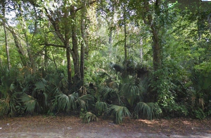 990 Alabama Ave, Holly Hill, FL for sale - Primary Photo - Image 1 of 5