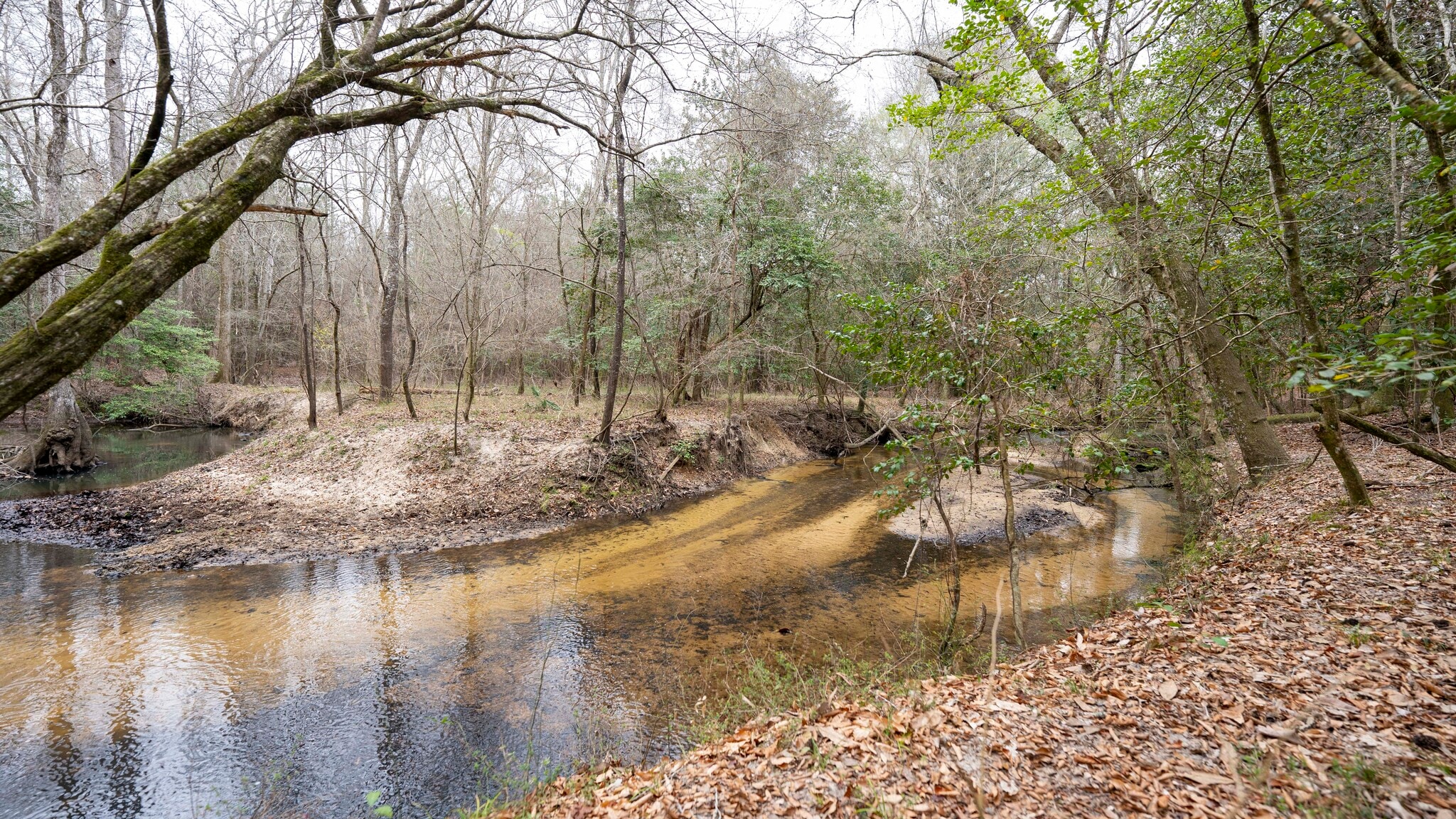 500 Old Milledgeville Rd, Cochran, GA à vendre Photo principale- Image 1 de 53