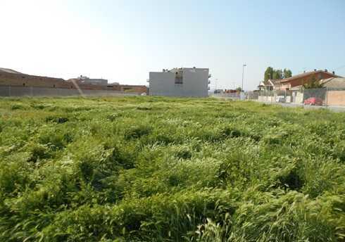 Carrer Lleida, 69, Torregrossa, Lérida à vendre - Plan d’étage - Image 1 de 4